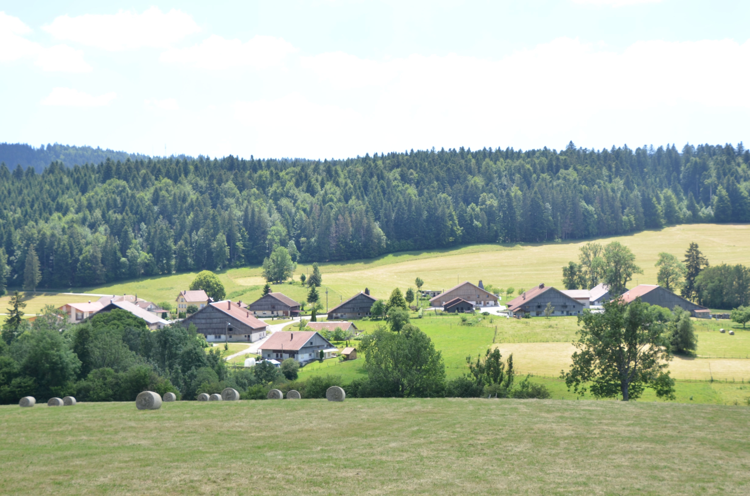 Paysage_Saugeais